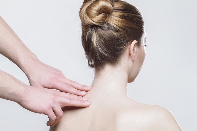 garnier botanic therapy