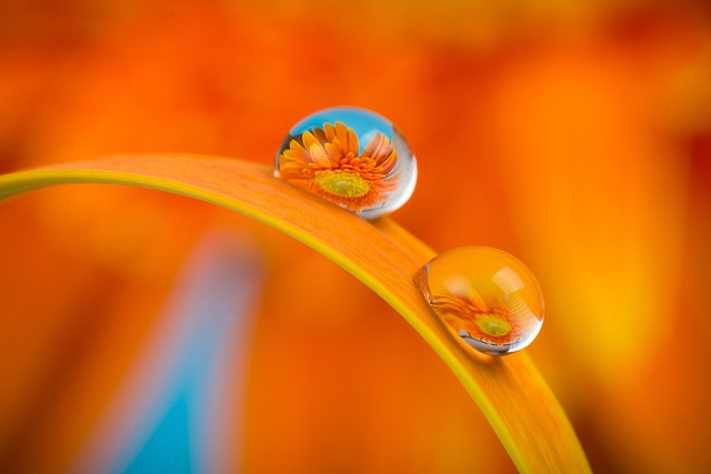 dusy color