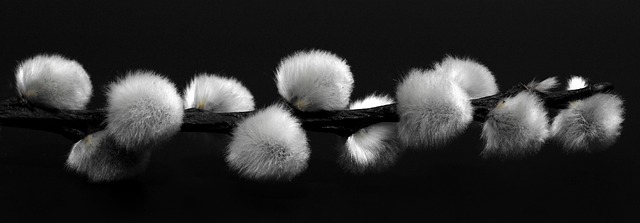 voono soft black