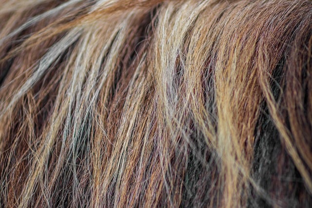 level 8 hair color