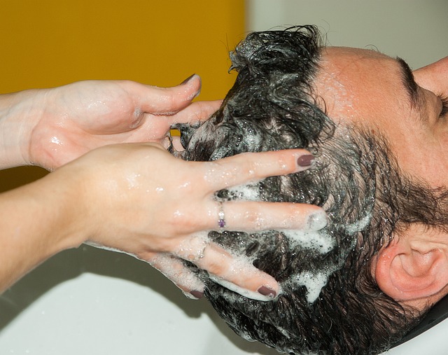 palette color shampoo vzornik