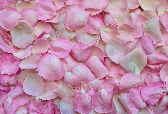 treat my color pink